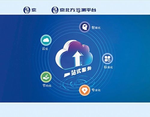 为国内外金融机构客户提供信息技术服务
